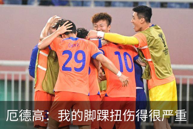 厄德高：我的脚踝扭伤得很严重